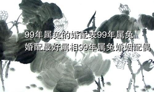 99年属兔的婚配表99年属兔婚配最好属相99年属兔婚姻配偶