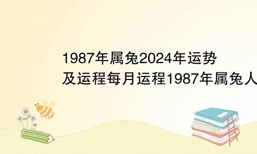 1987年属兔2024年运势及运程每月运程1987年属兔人2024年运势如何