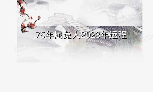 75年属兔人2023年运程