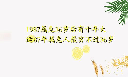 1987属兔36岁后有十年大运87年属兔人最穷不过36岁