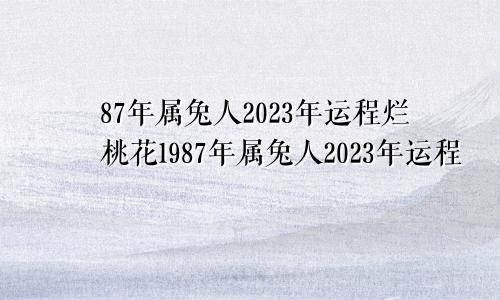 87年属兔人2023年运程烂桃花1987年属兔人2023年运程