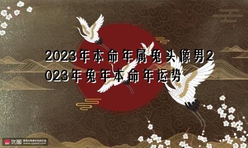 2023年本命年属兔头像男2023年兔年本命年运势