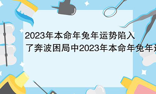 2023年本命年兔年运势陷入了奔波困局中2023年本命年兔年运势微信头像