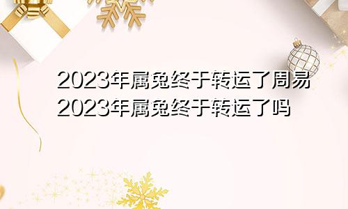 2023年属兔终于转运了周易2023年属兔终于转运了吗