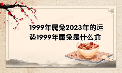 1999年属兔2023年的运势1999年属兔是什么命