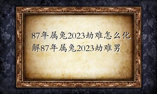 87年属兔2023劫难怎么化解87年属兔2023劫难男