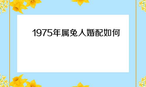 1975年属兔人婚配如何