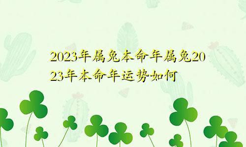 2023年属兔本命年属兔2023年本命年运势如何