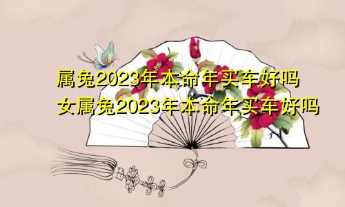 属兔2023年本命年买车好吗女属兔2023年本命年买车好吗