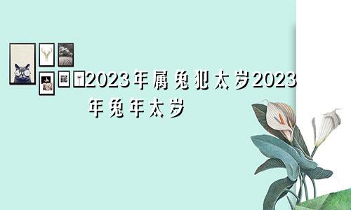 2023年属兔犯太岁2023年兔年太岁