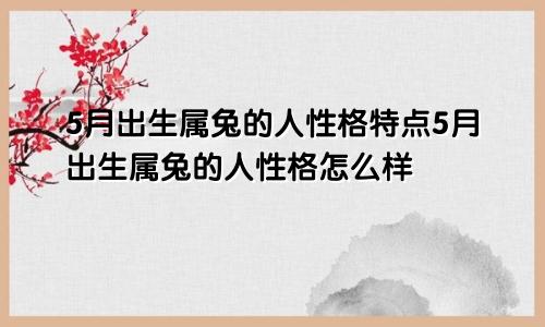 5月出生属兔的人性格特点5月出生属兔的人性格怎么样