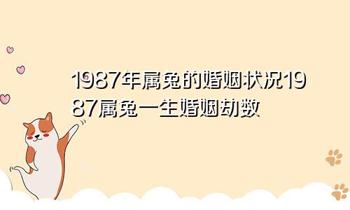 1987年属兔的婚姻状况1987属兔一生婚姻劫数