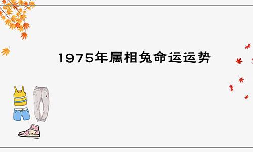 1975年属相兔命运运势