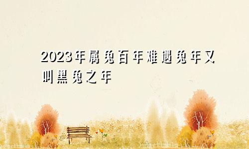 2023年属兔百年难遇兔年又叫黑兔之年