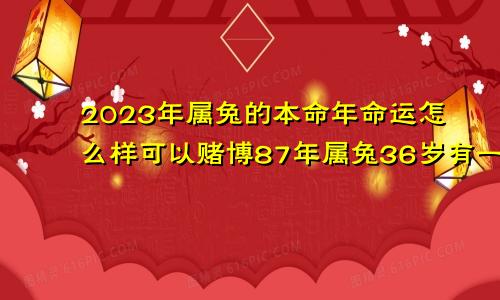 2023年属兔的本命年命运怎么样可以赌博87年属兔36岁有一灾