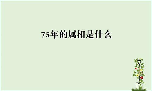 75年的属相是什么