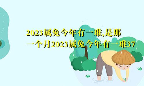 2023属兔今年有一难,是那一个月2023属兔今年有一难37