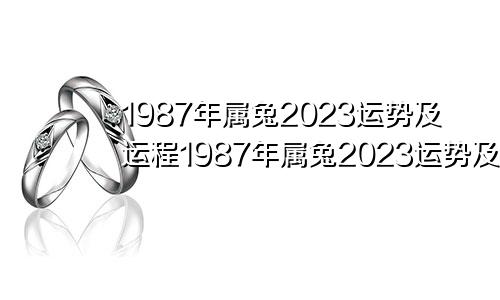 1987年属兔2023运势及运程1987年属兔2023运势及运程男性