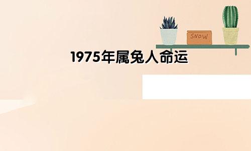 1975年属兔人命运