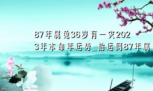 87年属兔36岁有一灾2023年本命年运势_拾运网87年属兔36岁有一灾女