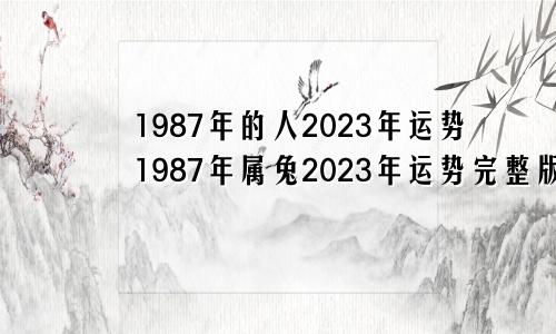 1987年的人2023年运势1987年属兔2023年运势完整版