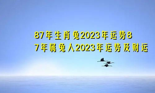 87年生肖兔2023年运势87年属兔人2023年运势及财运