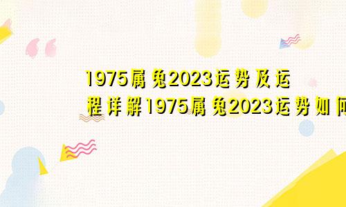 1975属兔2023运势及运程详解1975属兔2023运势如何查询