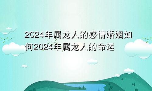 2024年属龙人的感情婚姻如何2024年属龙人的命运