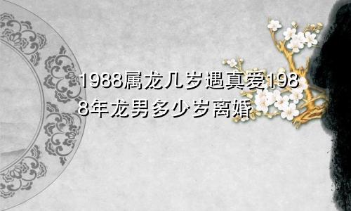 1988属龙几岁遇真爱1988年龙男多少岁离婚