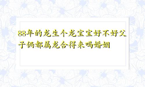 88年的龙生个龙宝宝好不好父子俩都属龙合得来吗婚姻