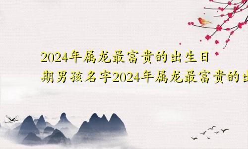 2024年属龙最富贵的出生日期男孩名字2024年属龙最富贵的出生日期男孩是什么