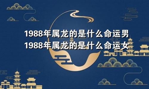 1988年属龙的是什么命运男1988年属龙的是什么命运女