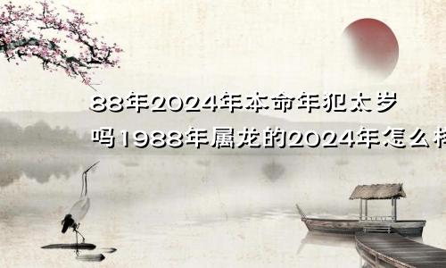 88年2024年本命年犯太岁吗1988年属龙的2024年怎么样