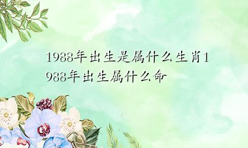 1988年出生是属什么生肖1988年出生属什么命