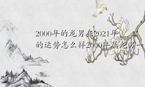 2000年的龙男在2021年的运势怎么样2000年属龙男一生命运