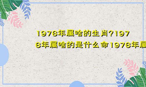 1976年属啥的生肖?1976年属啥的是什么命1976年属啥的今年多大