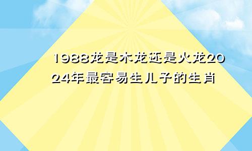 1988龙是木龙还是火龙2024年最容易生儿子的生肖