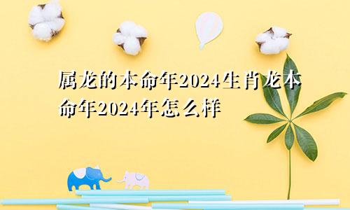 属龙的本命年2024生肖龙本命年2024年怎么样