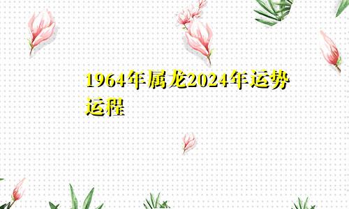 1964年属龙2024年运势运程