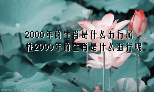 2000年的生肖是什么五行属性2000年的生肖是什么五行呢