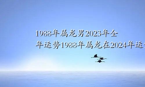 1988年属龙男2023年全年运势1988年属龙在2024年运势