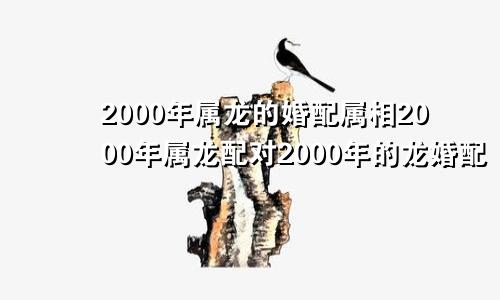 2000年属龙的婚配属相2000年属龙配对2000年的龙婚配