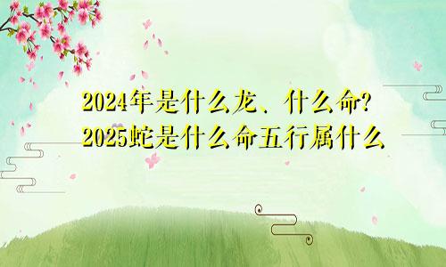 2024年是什么龙、什么命?2025蛇是什么命五行属什么