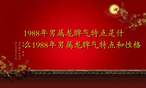 1988年男属龙脾气特点是什么1988年男属龙脾气特点和性格