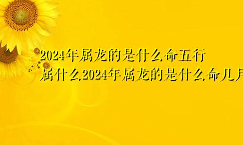 2024年属龙的是什么命五行属什么2024年属龙的是什么命几月出生好