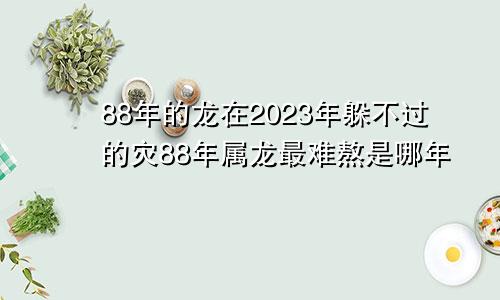 88年的龙在2023年躲不过的灾88年属龙最难熬是哪年