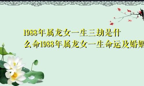 1988年属龙女一生三劫是什么命1988年属龙女一生命运及婚姻