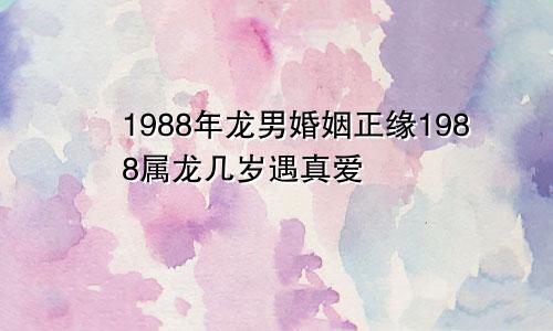 1988年龙男婚姻正缘1988属龙几岁遇真爱