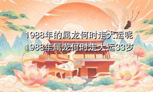 1988年的属龙何时走大运呢1988年属龙何时走大运33岁