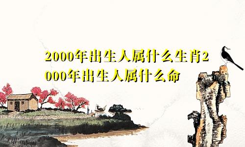 2000年出生人属什么生肖2000年出生人属什么命